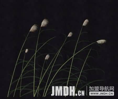 1596690225798454.jpg 2.jpg